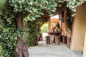 Appartamenti Alcantara e Damasco Acquaviva Di Montepulciano
